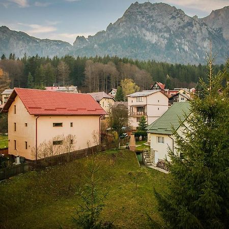 Casa Maia Hotel Buşteni Buitenkant foto