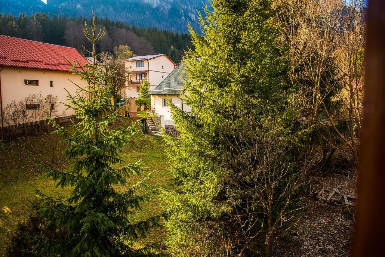 Casa Maia Hotel Buşteni Buitenkant foto