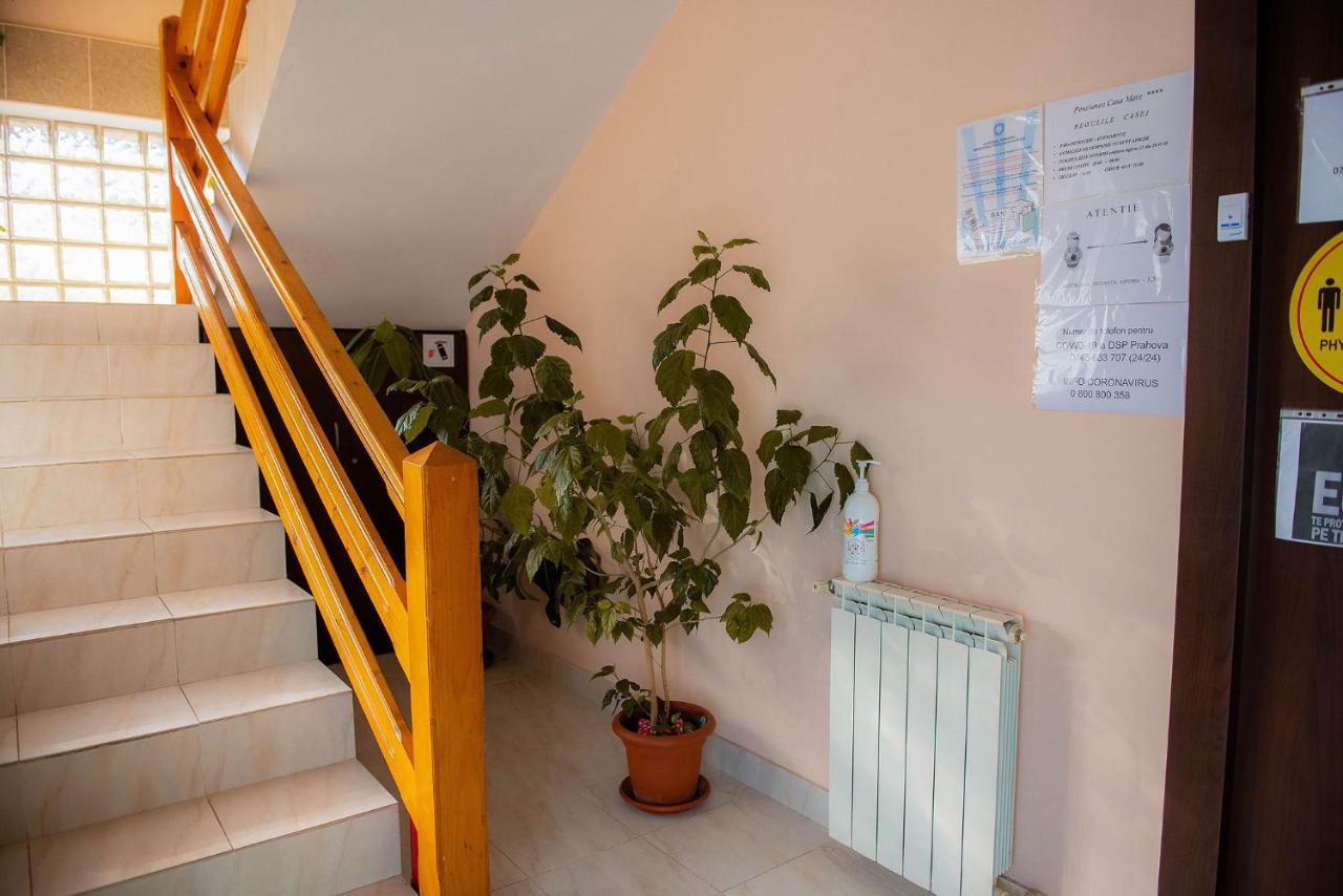 Casa Maia Hotel Buşteni Buitenkant foto